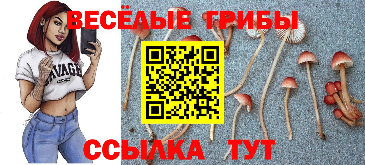 Псилоцибиновые грибы прущие грибы Ефремов