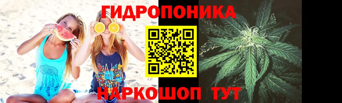 Бошки марихуана индика Ефремов